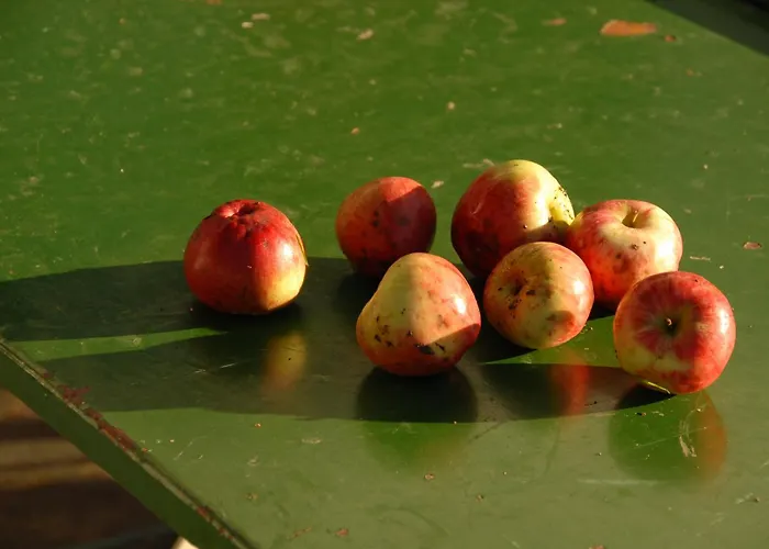 Zweilindenhof 3* Seeshaupt