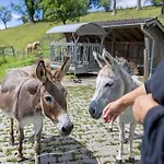 Affittacamere Zweilindenhof Seeshaupt
