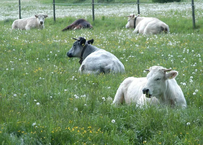 Zweilindenhof بيت ضيافة