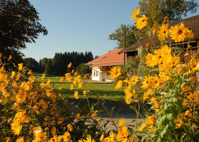 Zweilindenhof سيشوبت