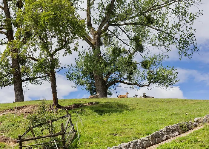 Zweilindenhof بيت ضيافة سيشوبت
